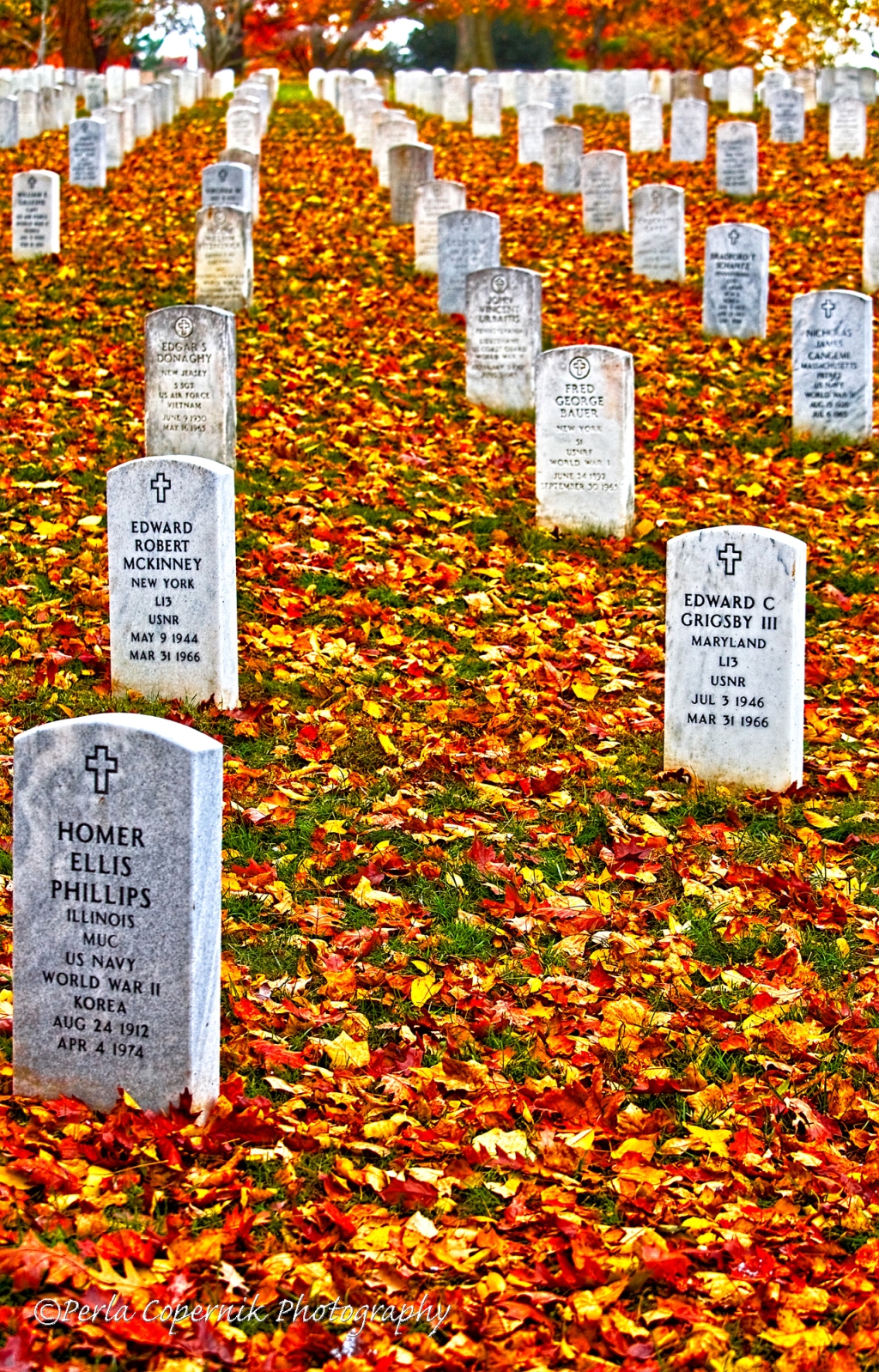 Arlington National Cemetery Through the Seasons of the Year